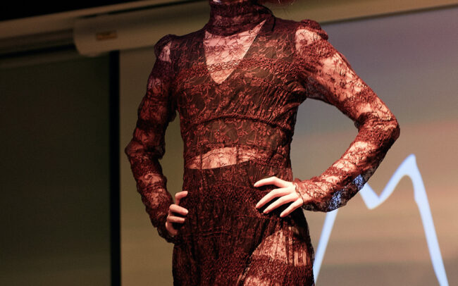 Contemporary Salons model on stage